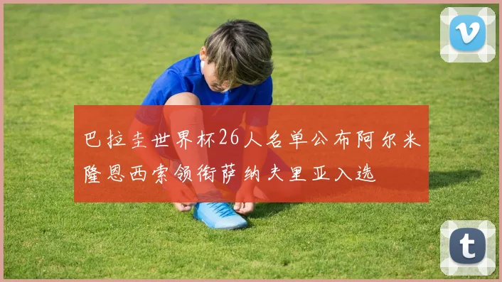 巴拉圭世界杯26人名单公布阿尔米隆恩西索领衔萨纳夫里亚入选