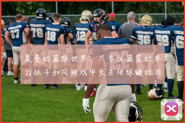 夏普的篮球世界：只专注篮筐的单打独斗如同游戏中失去传球键的困境