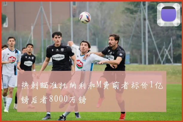 热刺瞄准托纳利和M费前者标价1亿镑后者8000万镑